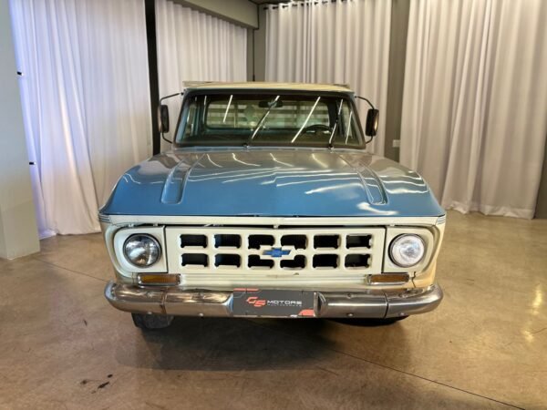 CHEVROLET D10 1973 - Imagem 7