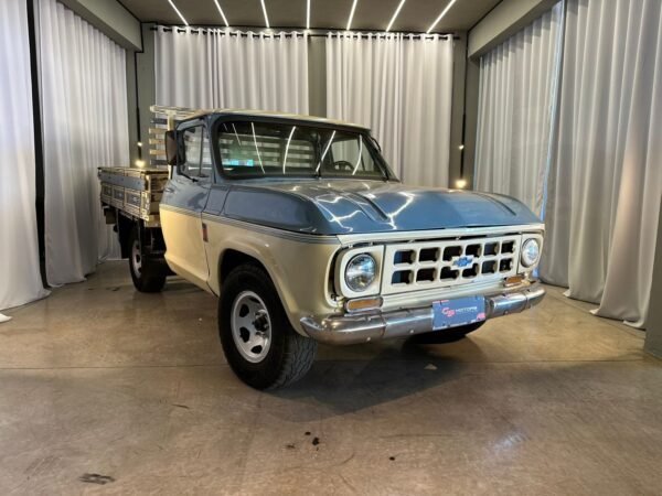 CHEVROLET D10 1973