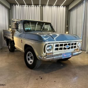CHEVROLET D10 1973